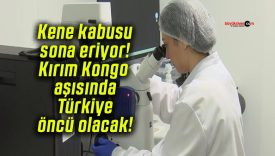 Kene kabusu sona eriyor! Kırım Kongo aşısında Türkiye öncü olacak!