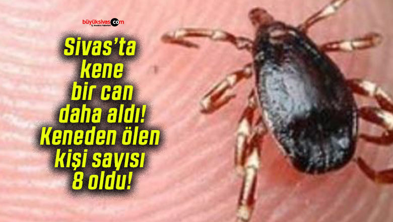 Sivas’ta kene bir can daha aldı! Keneden ölen kişi sayısı 8 oldu!
