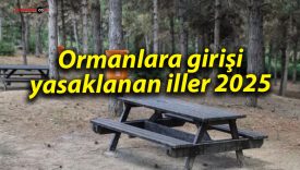 Ormanlara girişi yasaklanan iller 2025