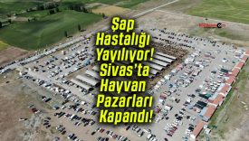 Şap Hastalığı Yayılıyor! Sivas’ta Hayvan Pazarları Kapandı!