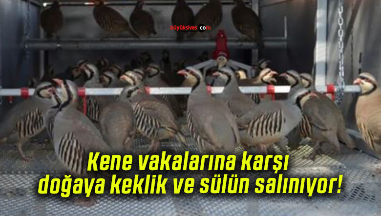 salınıyorsa