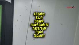 Alibaba Sazlı Göbek mevkiindeki haşereler tepki topladı!