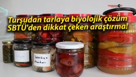 Turşudan tarlaya biyolojik çözüm: SBTÜ’den dikkat çeken araştırma!