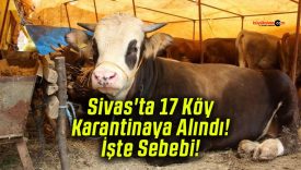 Sivas’ta 17 Köy Karantinaya Alındı! İşte Sebebi!