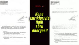 Kene ısırıklarıyla ilgili soru önergesi!