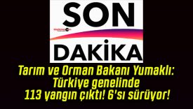 Tarım ve Orman Bakanı Yumaklı: Türkiye genelinde 113 yangın çıktı! 6’sı sürüyor!