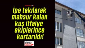 İpe takılarak mahsur kalan kuş itfaiye ekiplerince kurtarıldı!