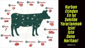 Kurban Etinden En İyi Şekilde Yararlanmak İçin! İşte Dana Haritası!