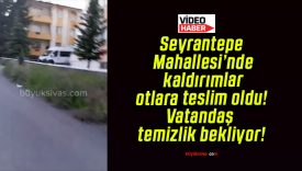 Seyrantepe Mahallesi’nde kaldırımlar otlara teslim oldu! Vatandaş temizlik bekliyor!