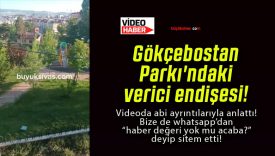 Gökçebostan Parkı’ndaki verici endişesi!