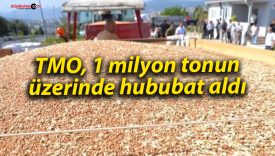 TMO, 1 milyon tonun üzerinde hububat aldı