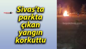 Sivas’ta parkta çıkan yangın korkuttu