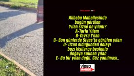 Bu Yılan Ne Yılanı? Tarla Yılanı? Yavru Yılan? Solucan?