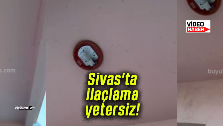 Sivas’ta ilaçlama yetersiz!