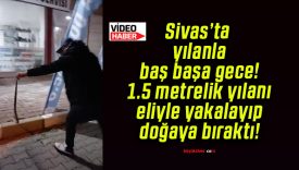Sivas’ta yılanla baş başa gece! 1.5 metrelik yılanı eliyle yakalayıp doğaya bıraktı!