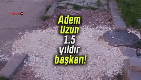 Adem Uzun 1.5 yıldır başkan! Şeyhşamil Mahallesi’ndeki kaldırım 1 yıldır bu halde!