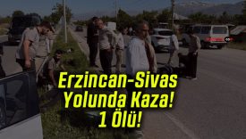 Erzincan-Sivas Yolunda Kaza! 1 Ölü!
