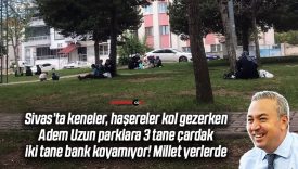 Sivas Postacılar Parkı’nda çardak ve bank yetersizliği sürüyor!