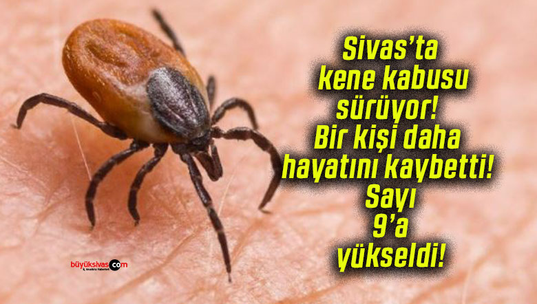 yükseld