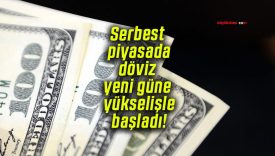 Serbest piyasada döviz yeni güne yükselişle başladı!
