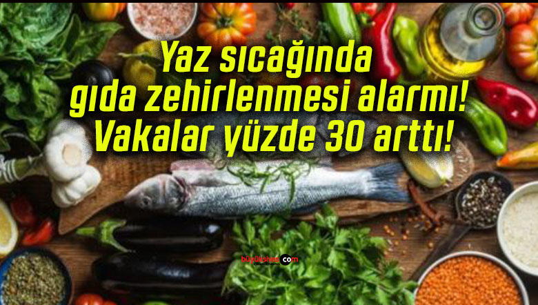 yüzdesa