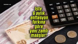 İşte 6 aylık enflasyon farkına göre yeni zamlı maaşlar!