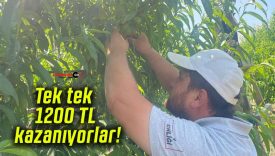 Tek tek 1200 TL kazanıyorlar!