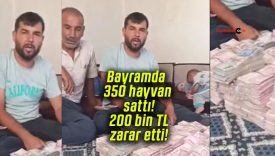 Bayramda 350 hayvan sattı! 200 bin TL zarar etti!