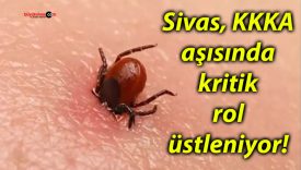 Sivas, KKKA aşısında kritik rol üstleniyor!