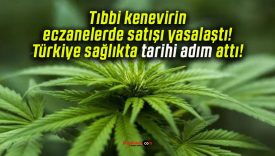 Tıbbi kenevirin eczanelerde satışı yasalaştı! Türkiye sağlıkta tarihi adım attı!