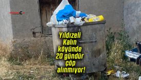 Yıldızeli Kalın köyünde 20 gündür çöp alınmıyor!