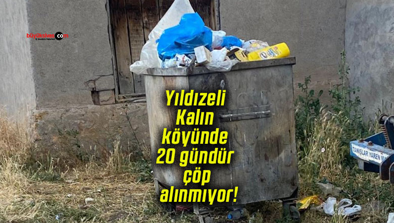 alınmıy