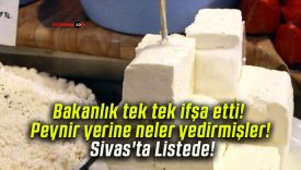 Bakanlık tek tek ifşa etti! Peynir yerine neler yedirmişler! Sivas’ta Listede!