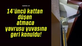 14’üncü kattan düşen atmaca yavrusu yuvasına geri konuldu!