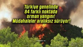 Türkiye genelinde 84 farklı noktada orman yangını! Müdahaleler aralıksız sürüyor!