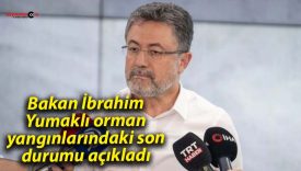 Bakan İbrahim Yumaklı orman yangınlarındaki son durumu açıkladı