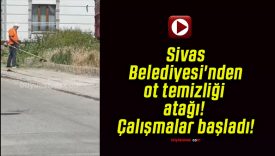 Sivas Belediyesi’nden ot temizliği atağı! Çalışmalar başladı!