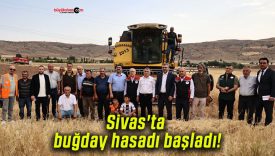 Sivas’ta buğday hasadı başladı!