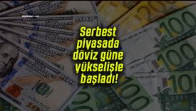 Serbest piyasada döviz güne yükselişle başladı!