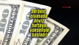 Serbest piyasada döviz haftaya yükselişle başladı!