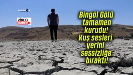 Bingöl Gölü tamamen kurudu! Kuş sesleri yerini sessizliğe bıraktı!