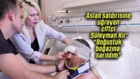 Aslan saldırısına uğrayan çiftçi Süleyman Kır: “Boğuştuk, boğazına sarıldım”