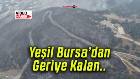 Bursa’daki orman yangınının acı yüzü gün ağarınca ortaya çıktı!