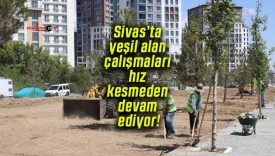 Sivas’ta yeşil alan çalışmaları hız kesmeden devam ediyor!