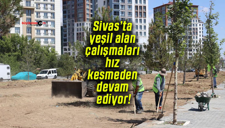 çalışmas