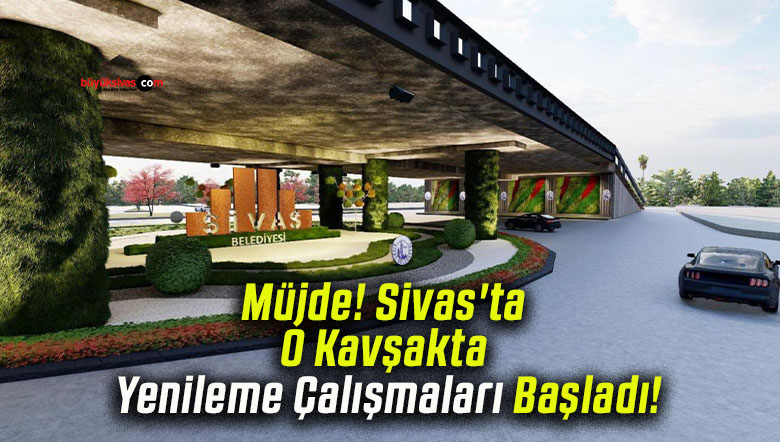 çalışmas