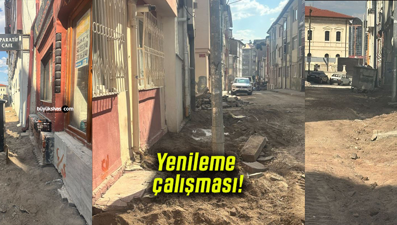 çalışmas
