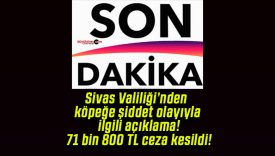 Sivas Valiliği’nden köpeğe şiddet olayıyla ilgili açıklama! 71 bin 800 TL ceza kesildi!