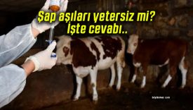 Şap aşıları yetersiz mi? İşte cevabı..