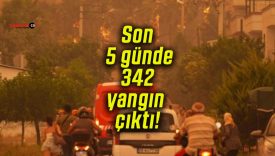 Son 5 günde 342 yangın çıktı!